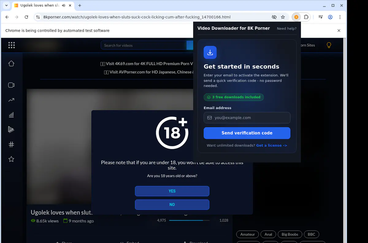 8K Porner Downloader fullscreen screenshot