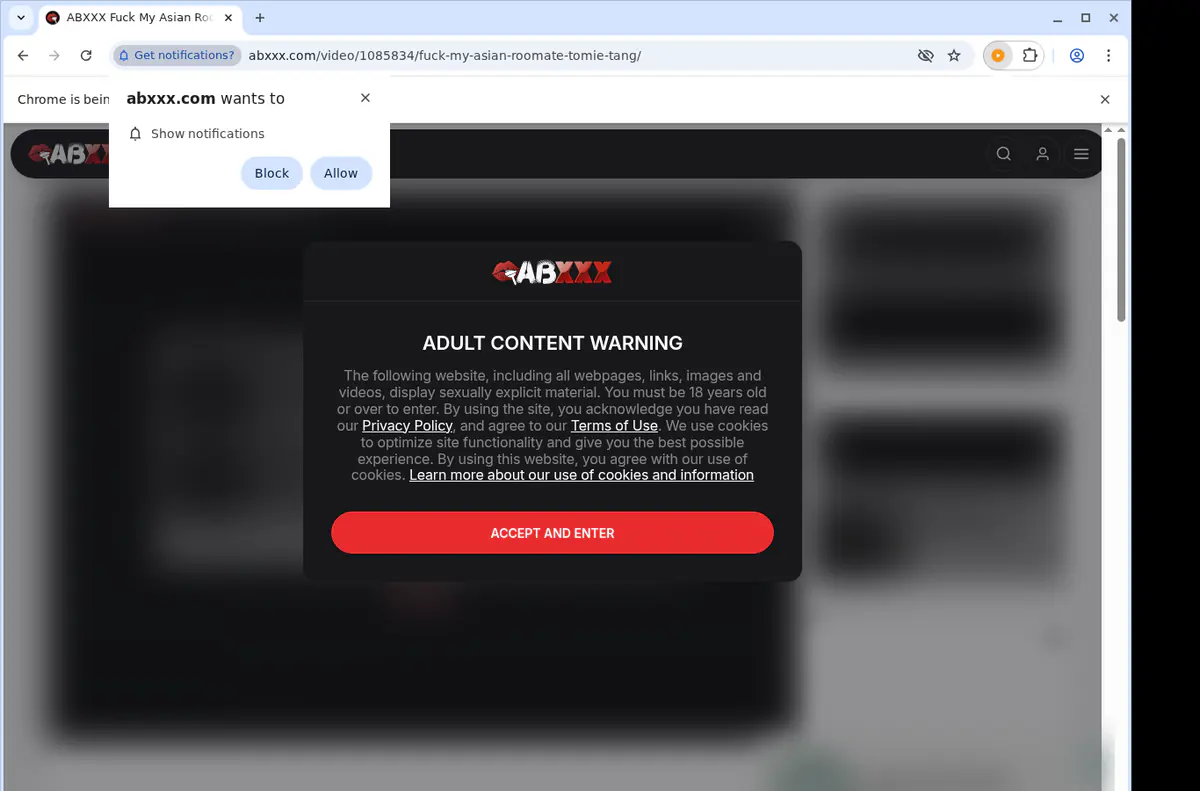 ABXXX Downloader fullscreen screenshot