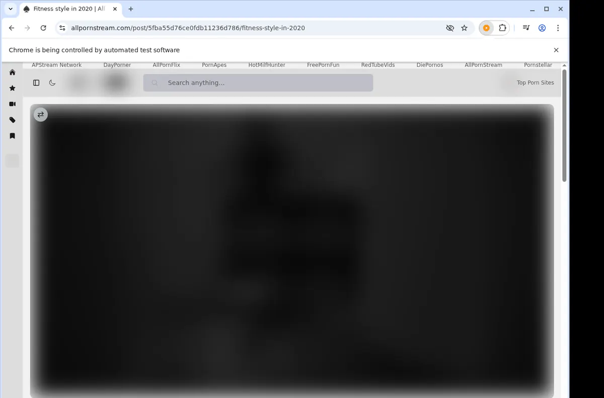 AllPornStream Downloader fullscreen screenshot