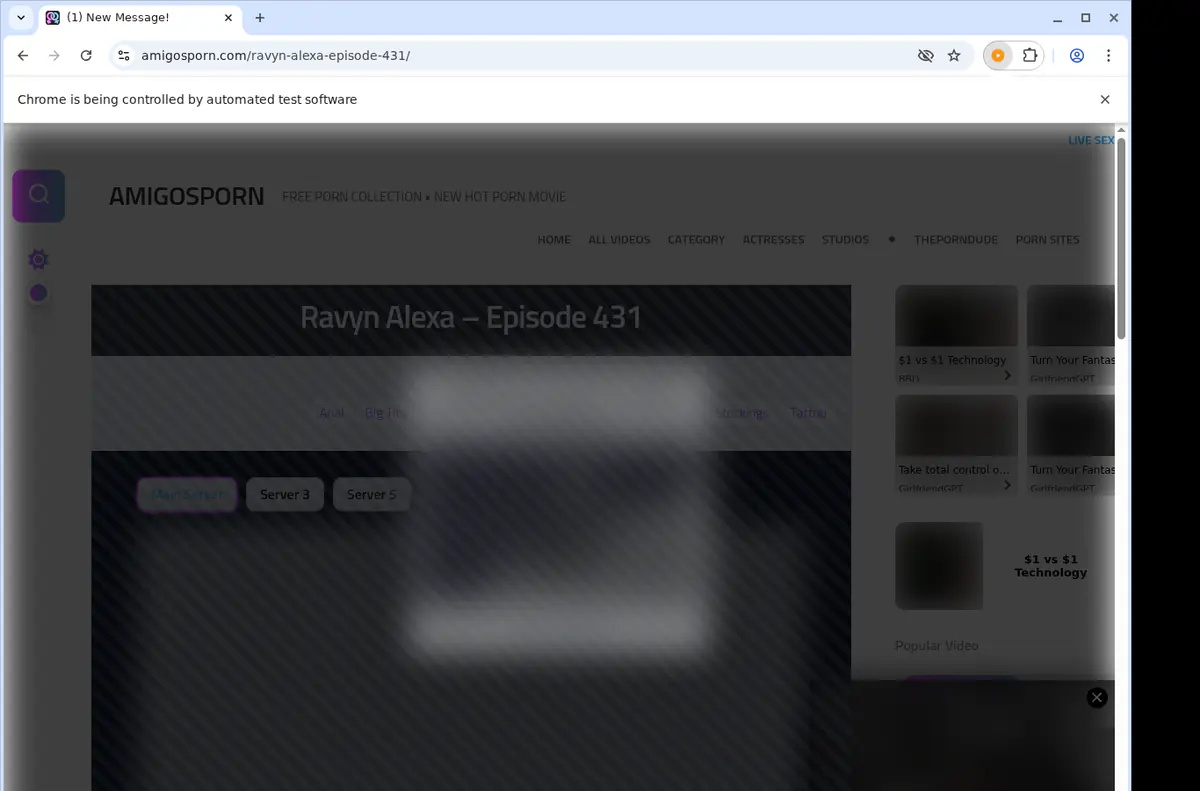 AmigosPorn Downloader fullscreen screenshot