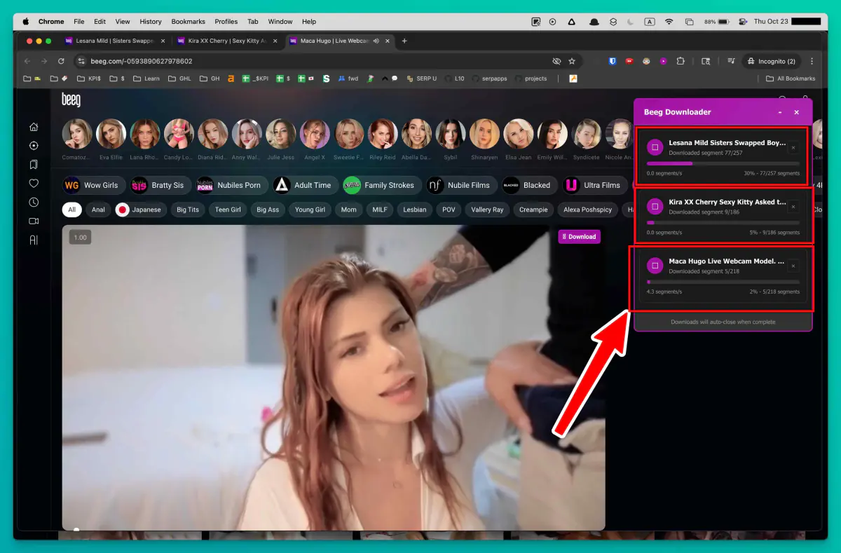 Beeg Video Downloader progress indicators