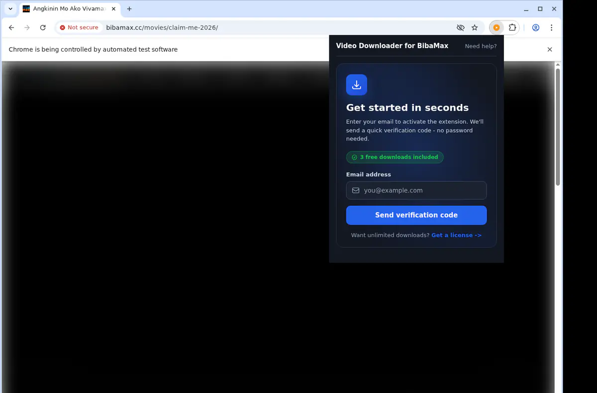 BibaMax Downloader fullscreen screenshot