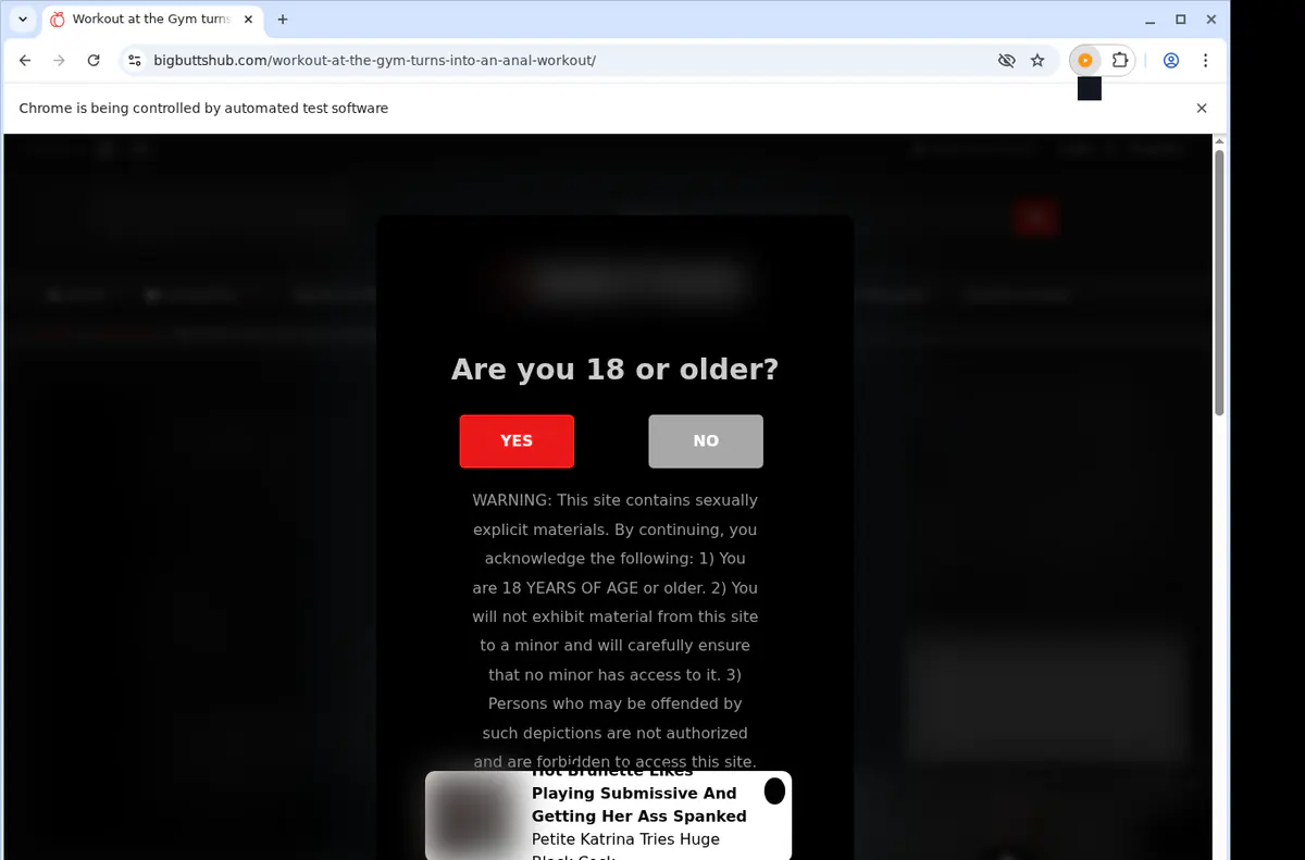Big Butts Hub Downloader fullscreen screenshot