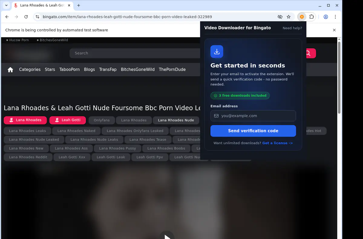 Bingato Downloader fullscreen screenshot