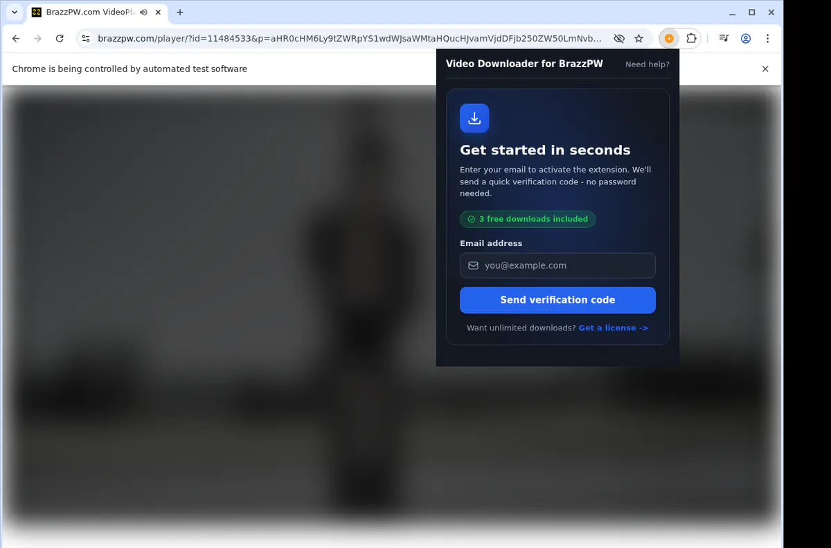 BrazzPW Downloader fullscreen screenshot