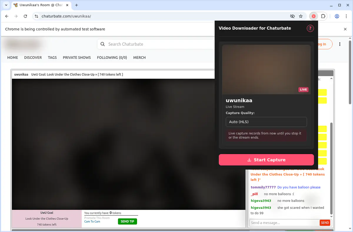 Chaturbate Video Downloader fullscreen screenshot