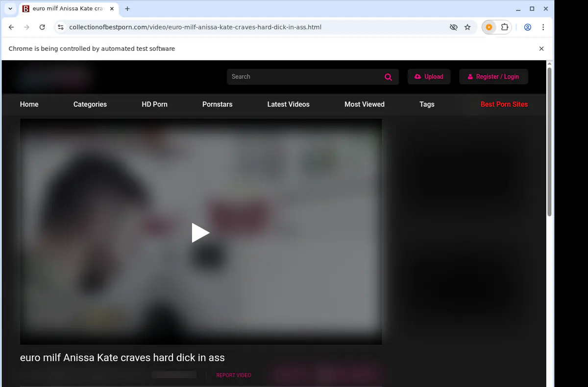 CollectionOfBestPorn Downloader fullscreen screenshot