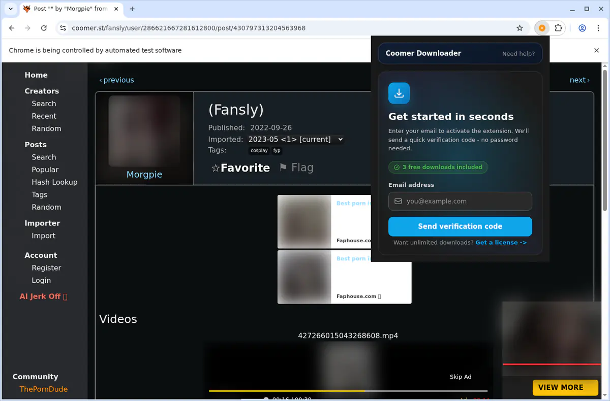 Coomer Downloader fullscreen screenshot