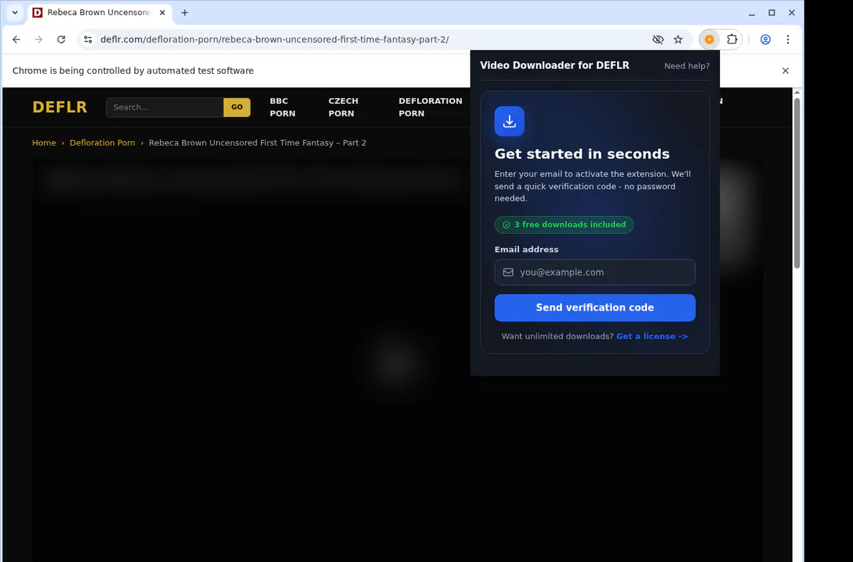 DEFLR Downloader fullscreen screenshot