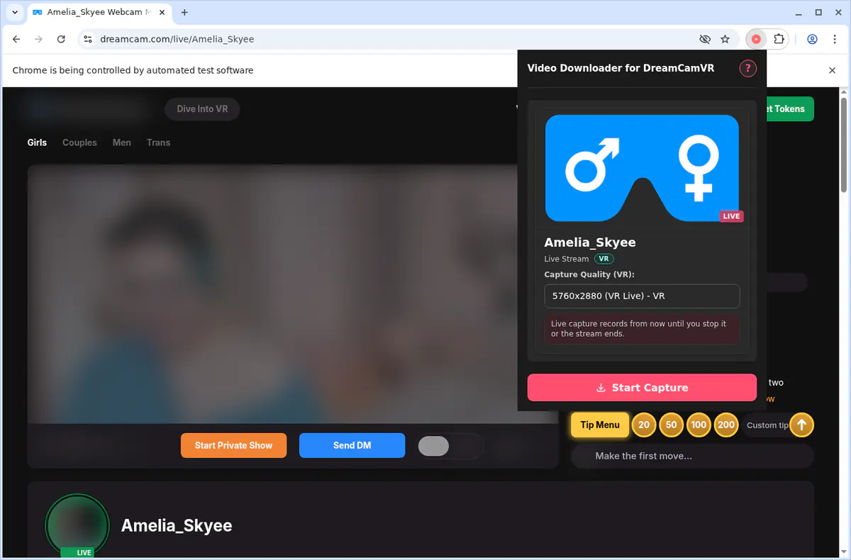 DreamCamVR Downloader fullscreen screenshot