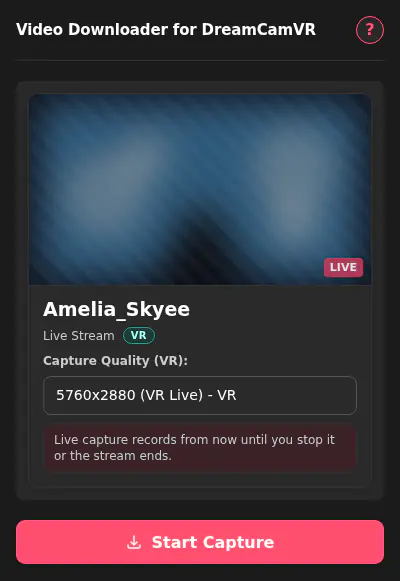 DreamCamVR Downloader fullscreen screenshot