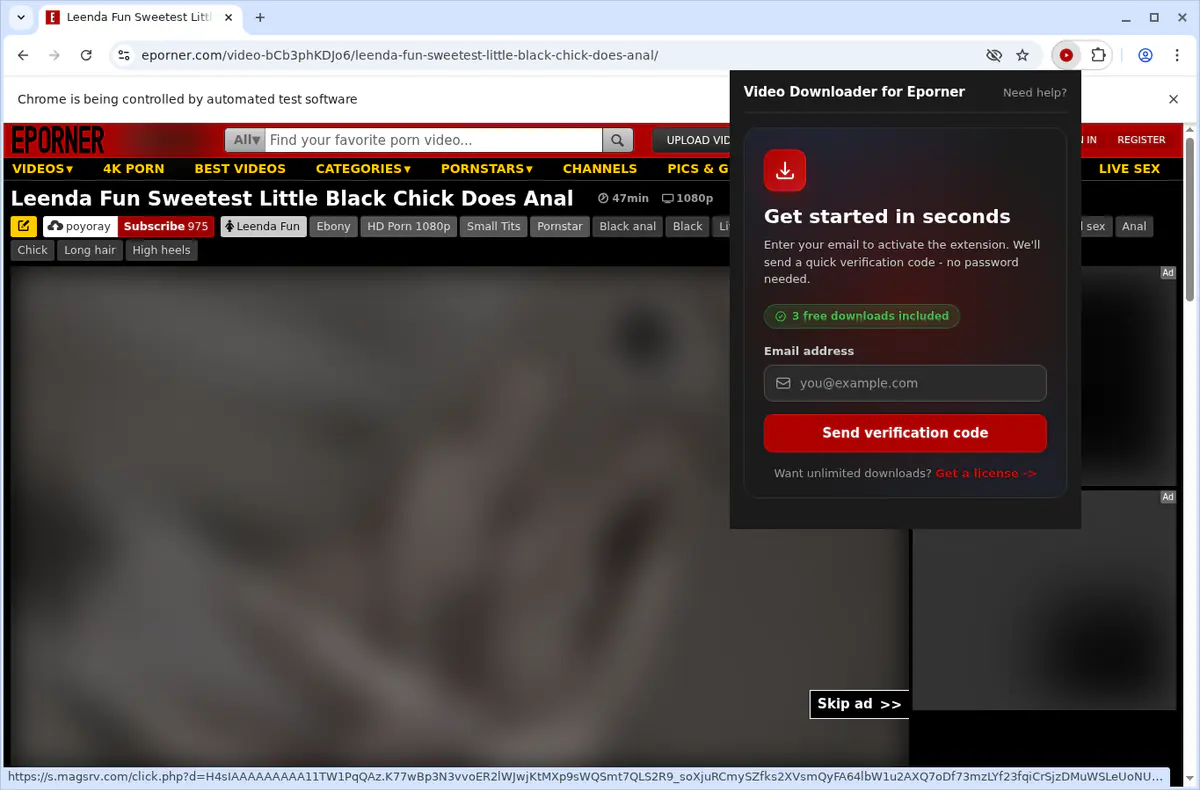 EPorner Video Downloader fullscreen screenshot