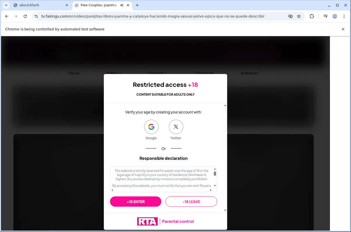 FAkings TV Downloader fullscreen screenshot