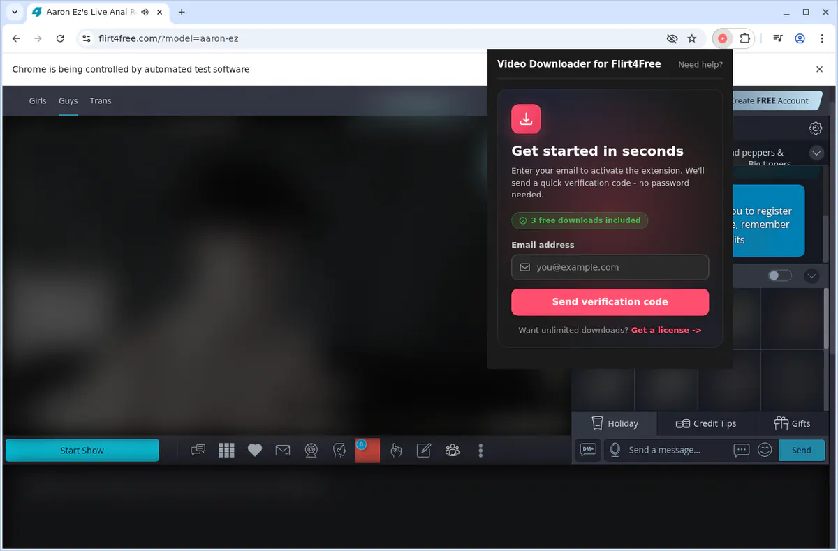 Flirt4Free Downloader fullscreen screenshot