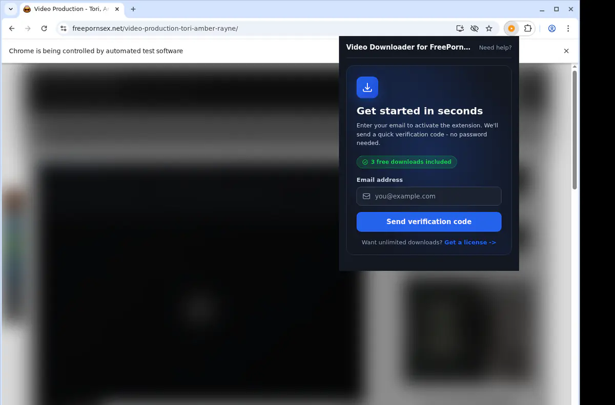 FreePornSex.net Downloader fullscreen screenshot
