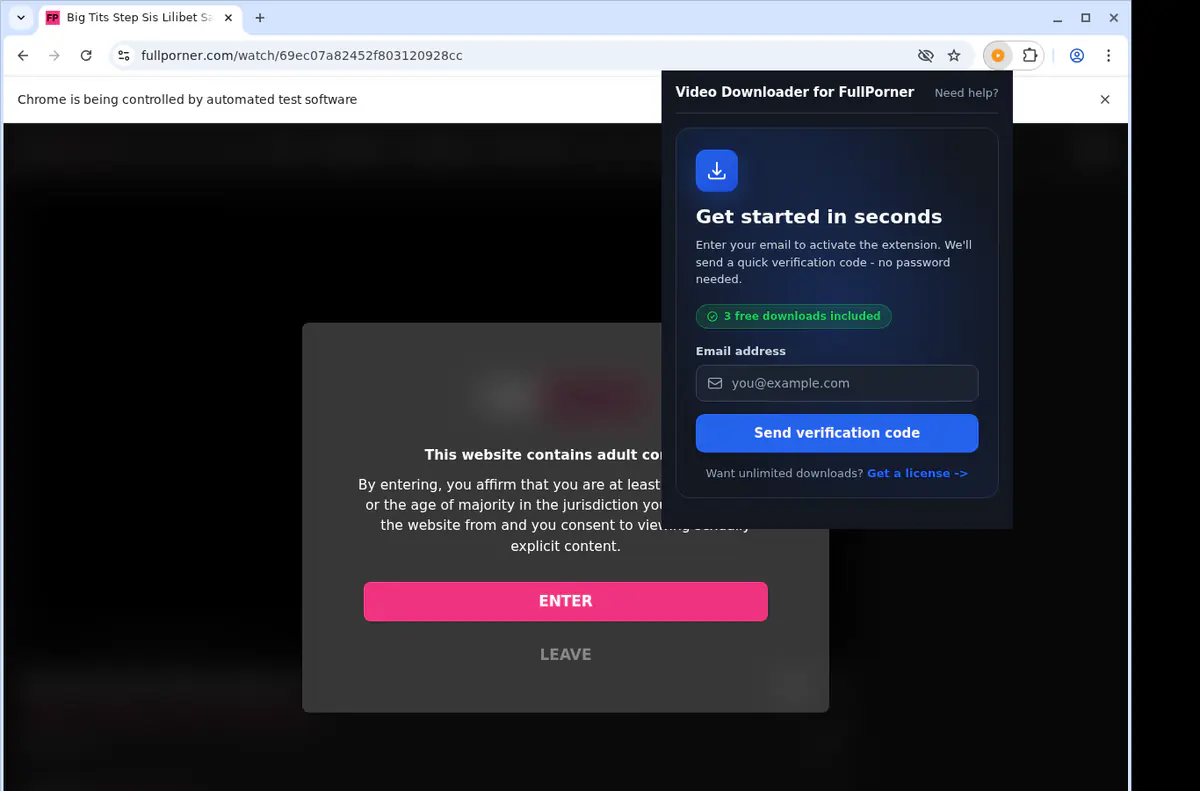 FullPorner Downloader fullscreen screenshot
