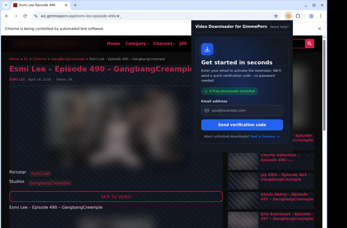 GimmePorn Downloader fullscreen screenshot