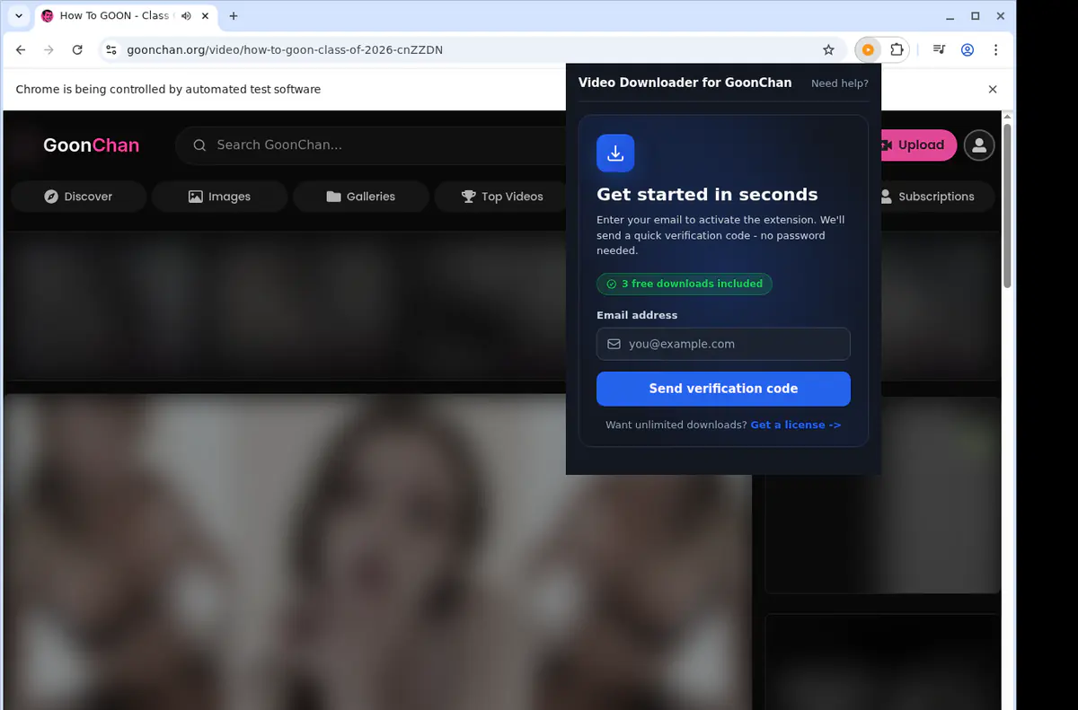 GoonChan Downloader fullscreen screenshot