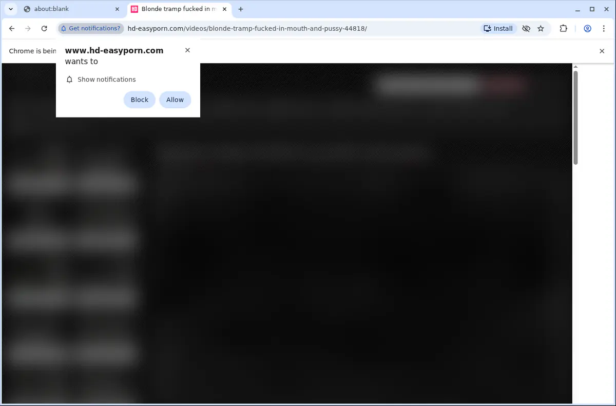 HD-EasyPorn Downloader fullscreen screenshot
