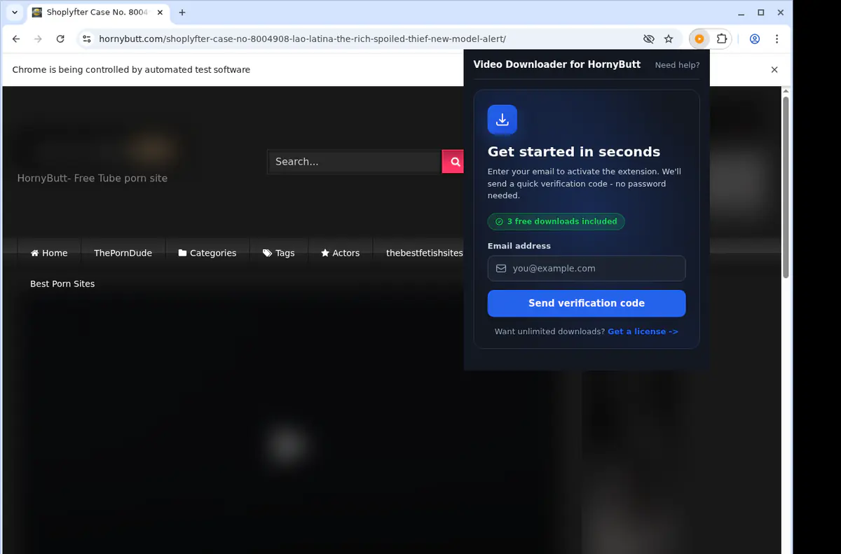 HornyButt Downloader fullscreen screenshot