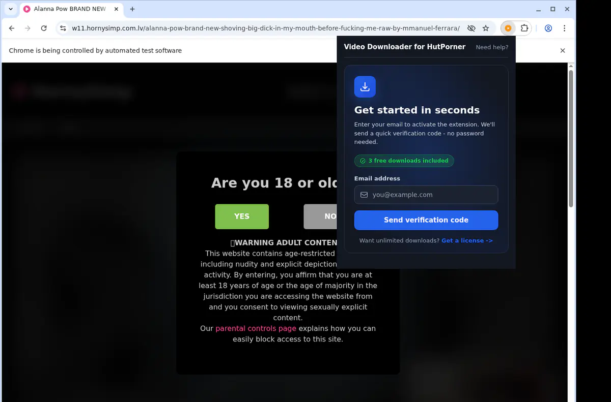 HutPorner Downloader fullscreen screenshot