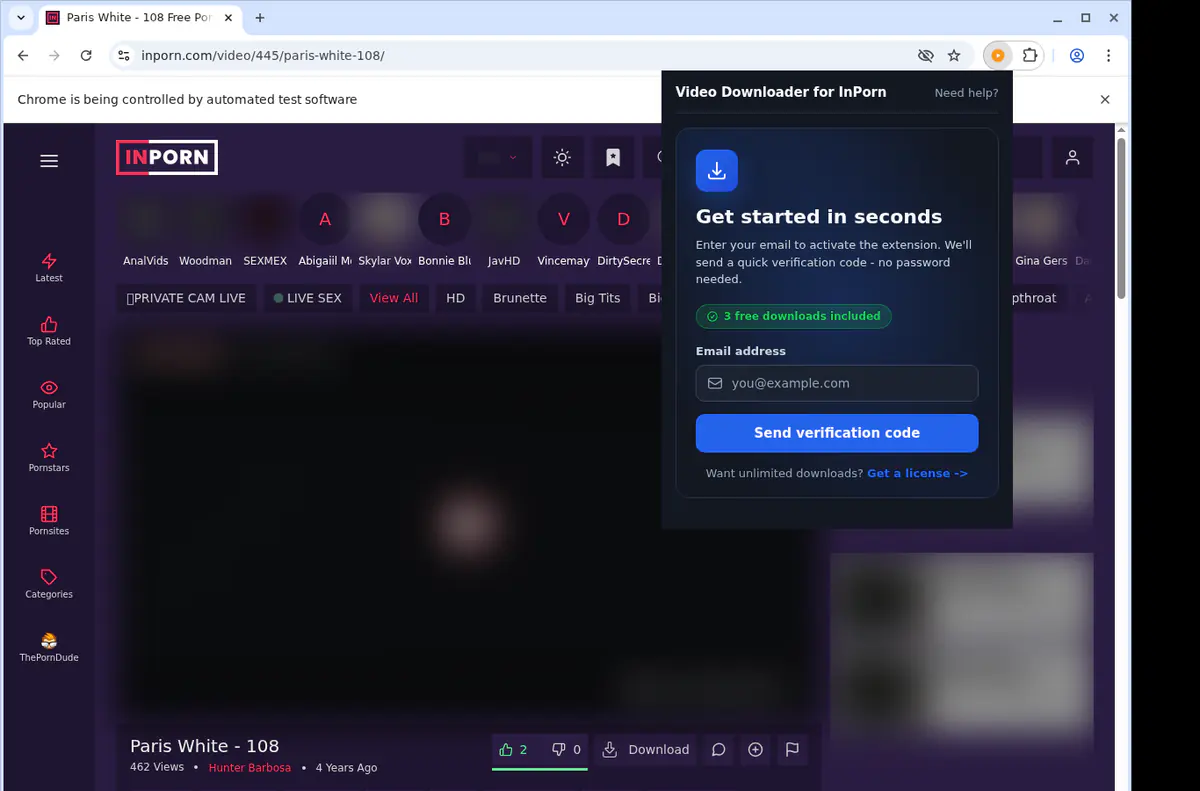 InPorn Downloader fullscreen screenshot