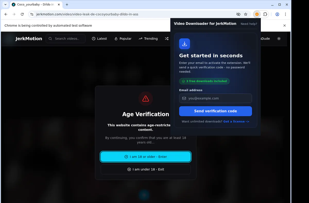 JerkMotion Downloader fullscreen screenshot