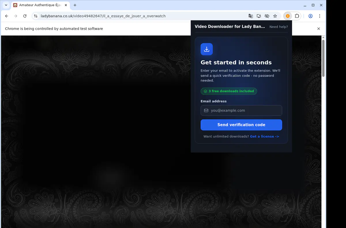 Lady Banana Downloader fullscreen screenshot
