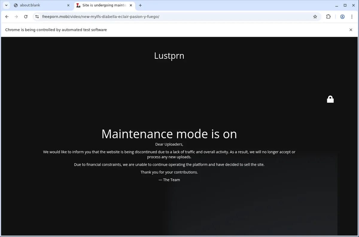 LustBB Downloader fullscreen screenshot