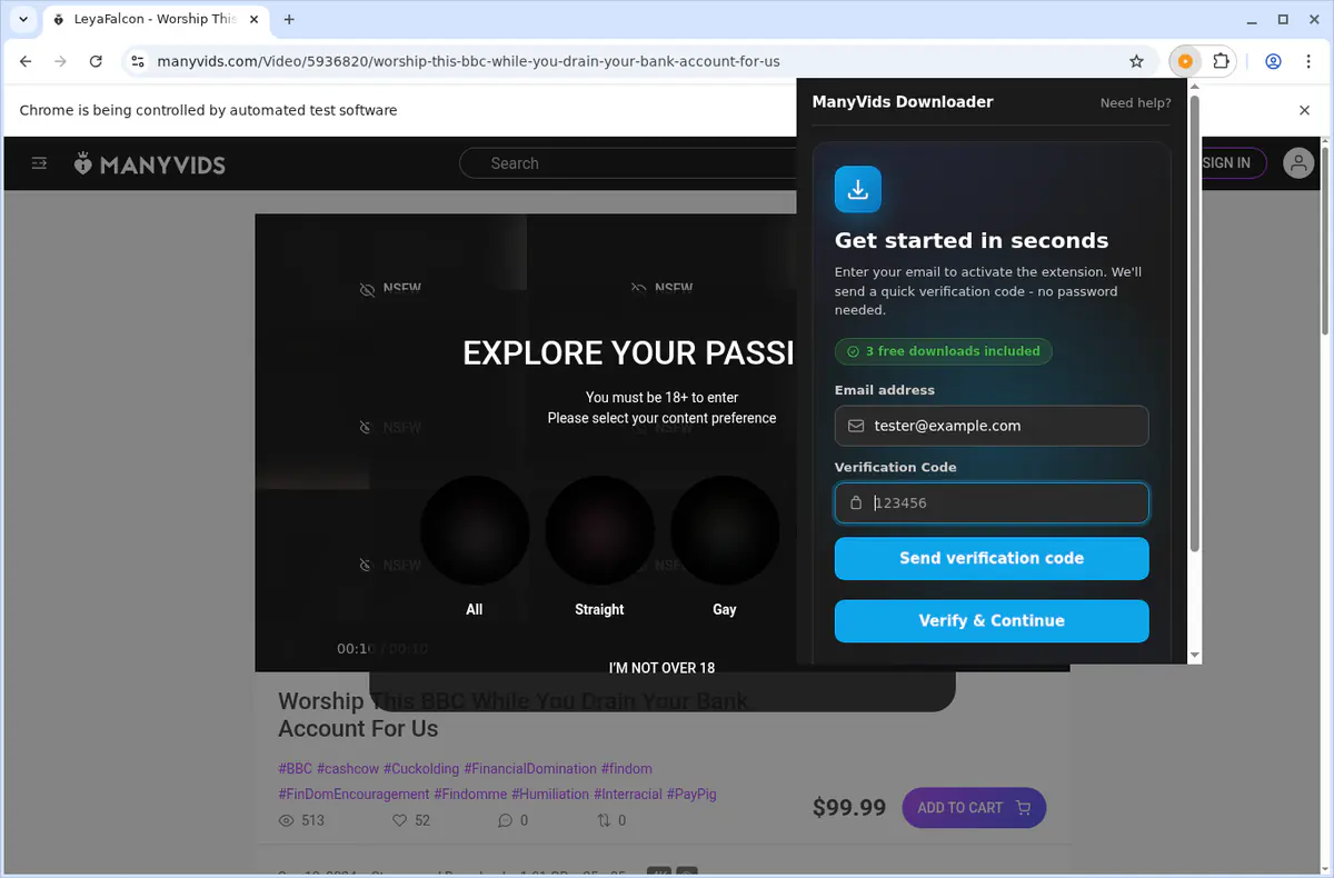 ManyVids Video Downloader fullscreen screenshot