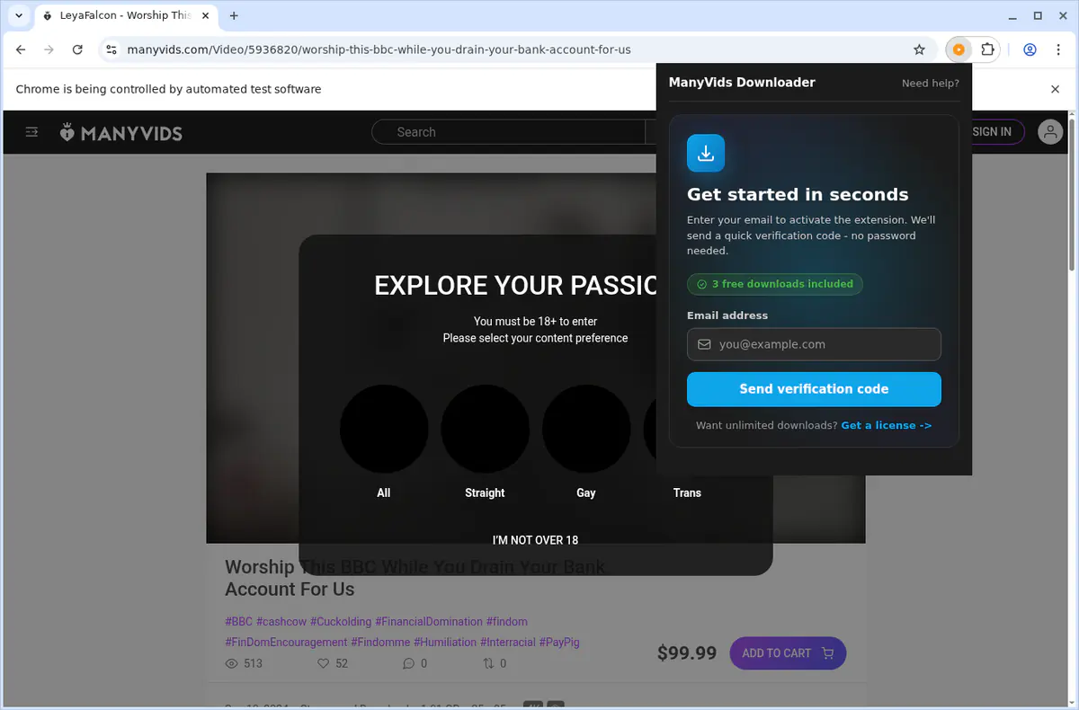 ManyVids Video Downloader fullscreen screenshot