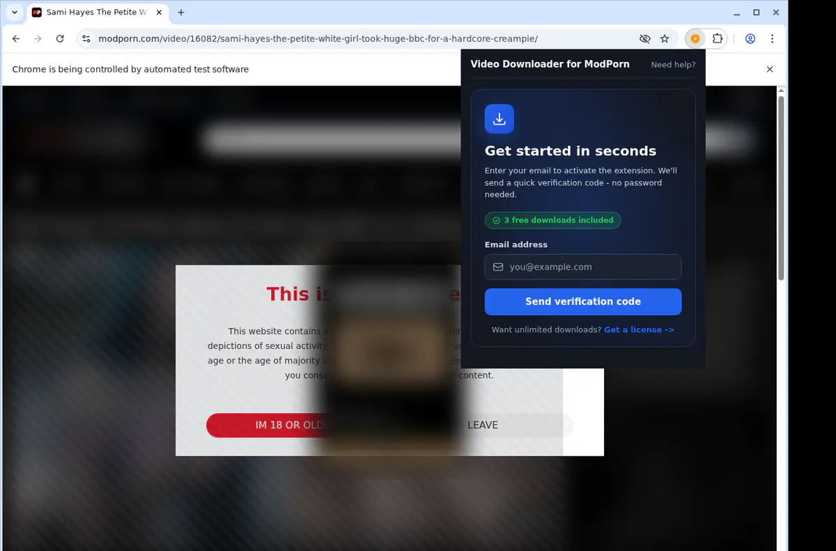 ModPorn Downloader fullscreen screenshot