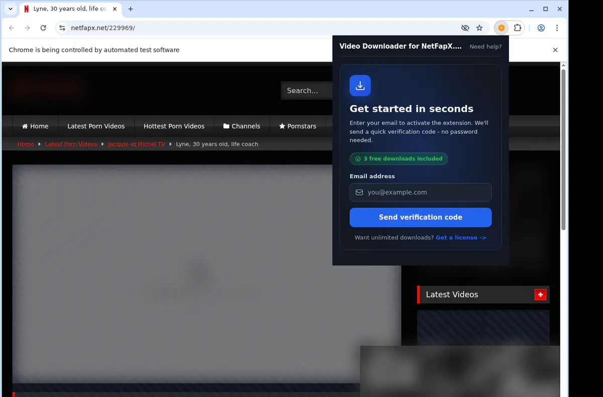 NetFapX.net Downloader fullscreen screenshot