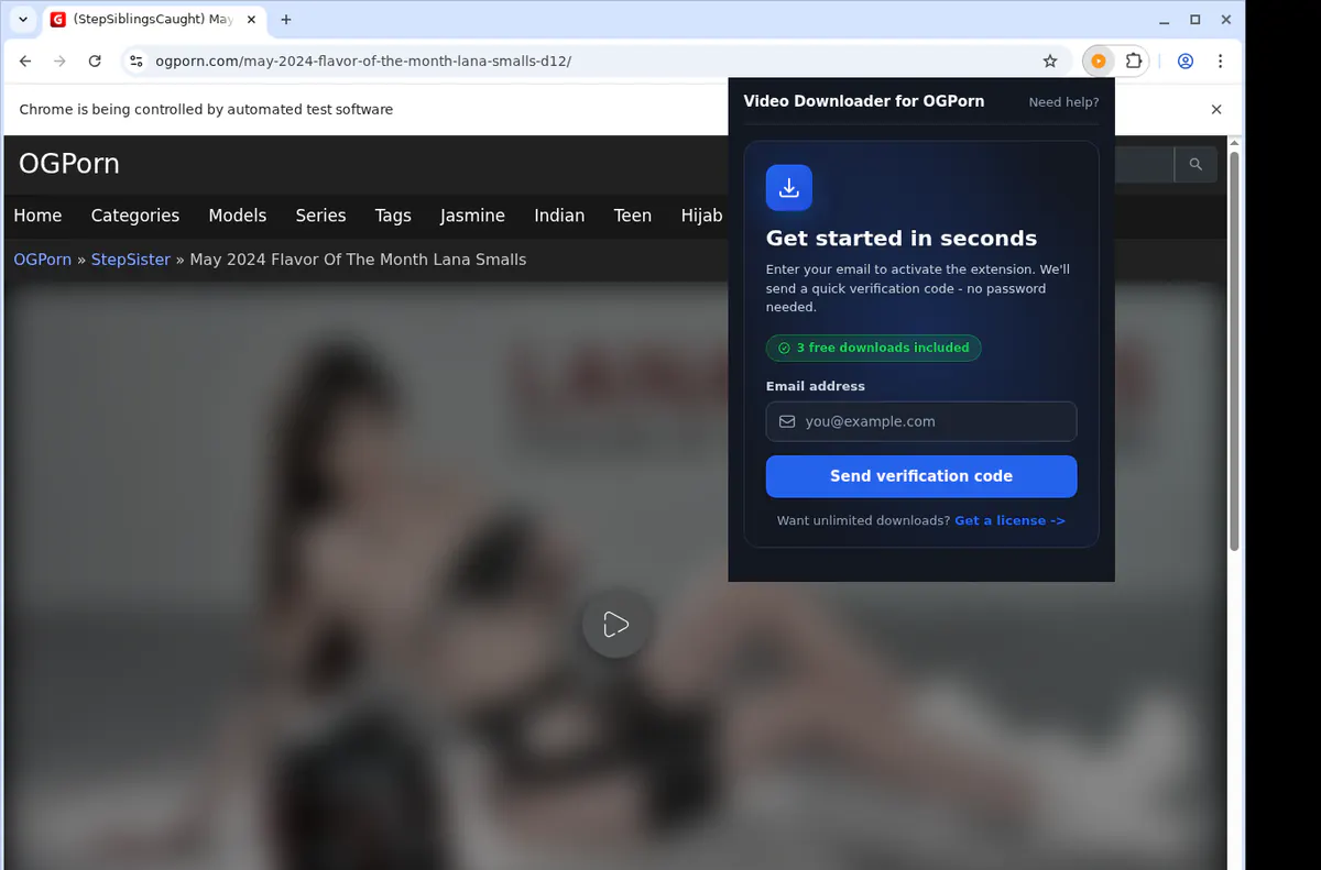 OGPorn Downloader fullscreen screenshot