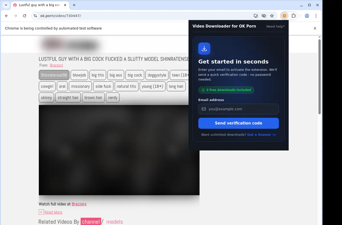 OK Porn Downloader fullscreen screenshot