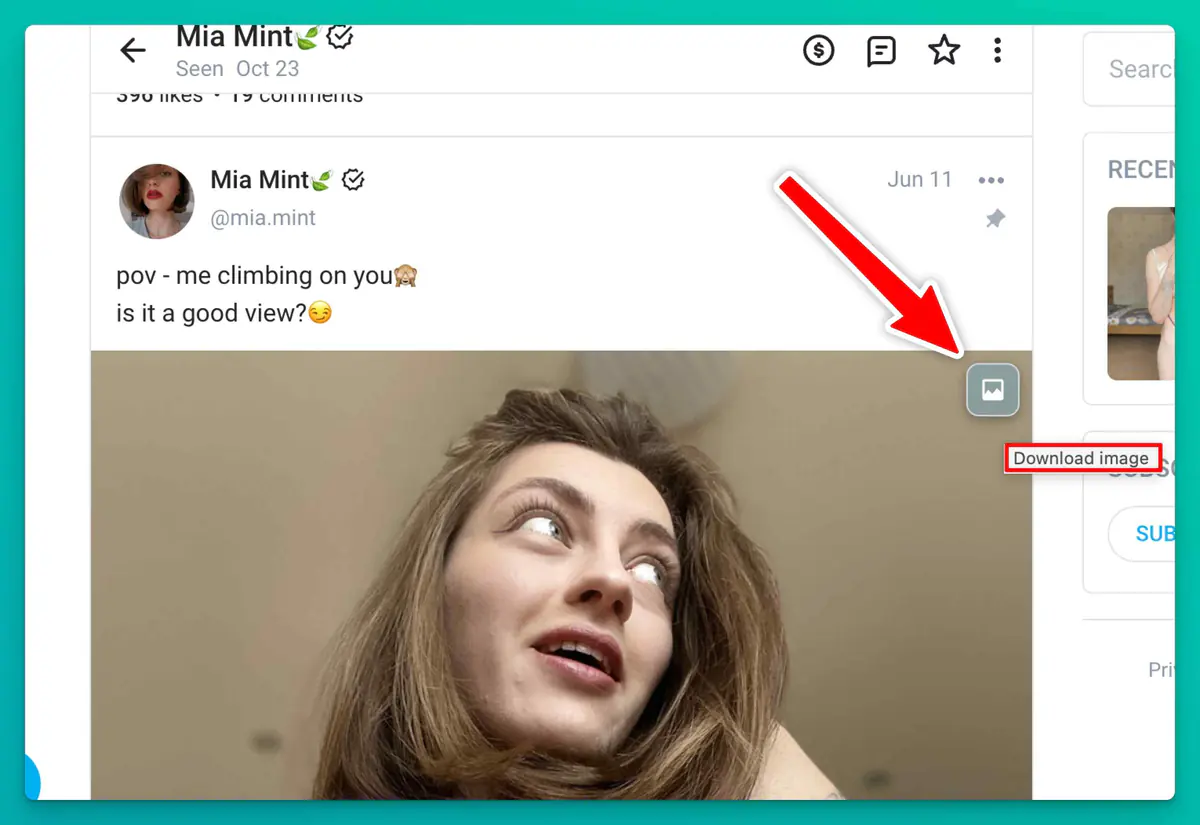 OnlyFans Downloader download button overlay
