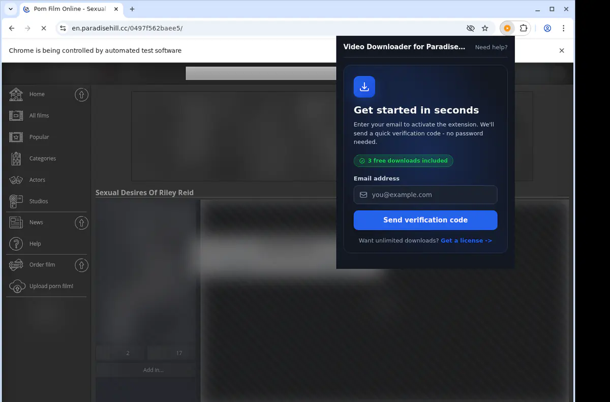 ParadiseHill Downloader fullscreen screenshot