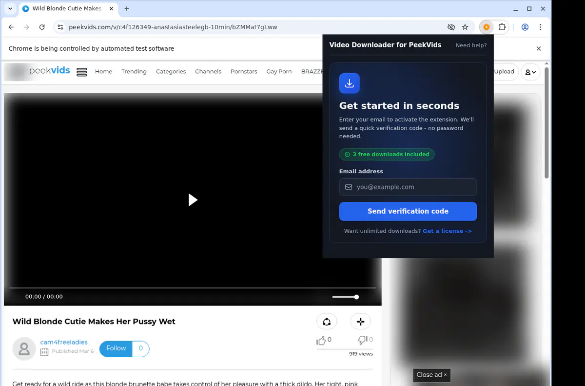 PeekVids Downloader fullscreen screenshot