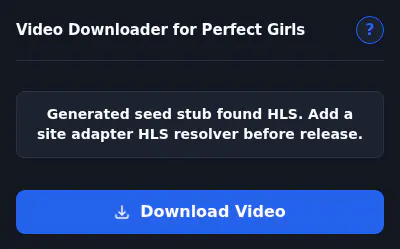 PerfectGirls Downloader fullscreen screenshot