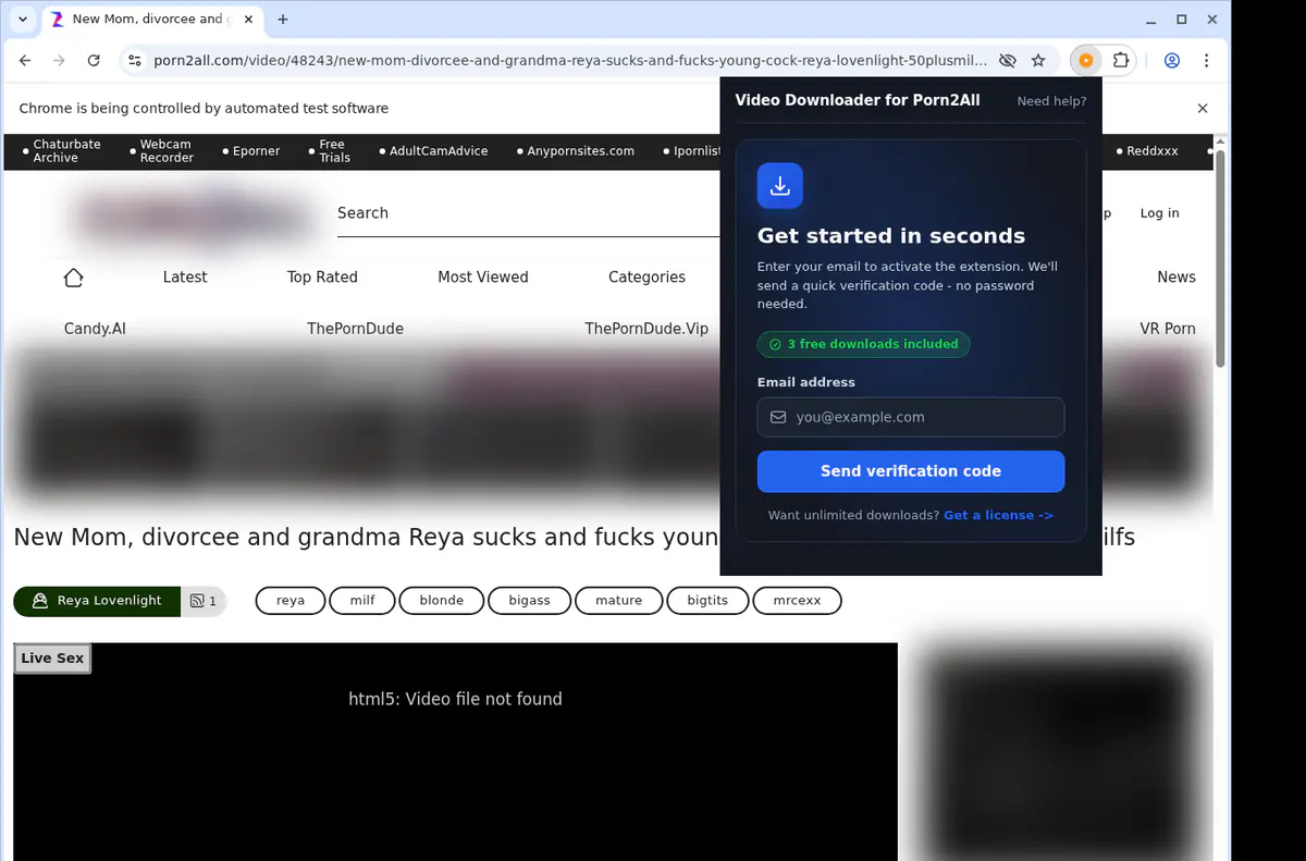 Porn2All Downloader fullscreen screenshot