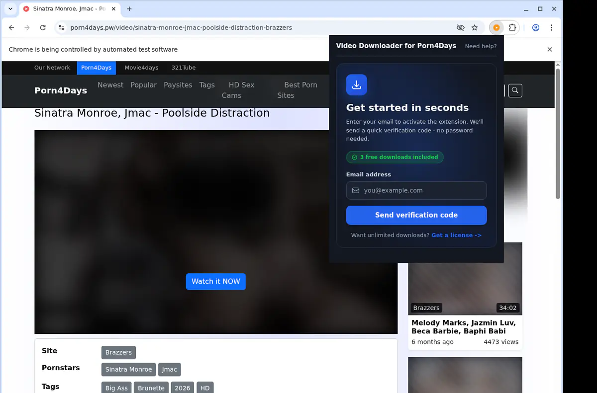 Porn4Days Downloader fullscreen screenshot