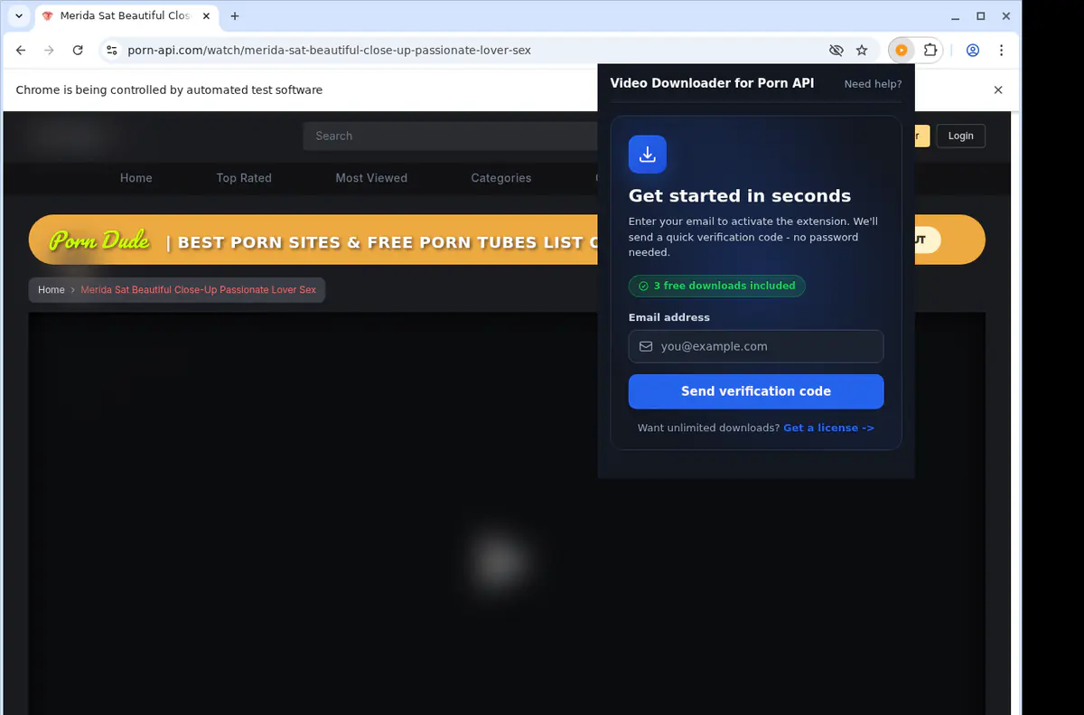 Porn API Downloader fullscreen screenshot