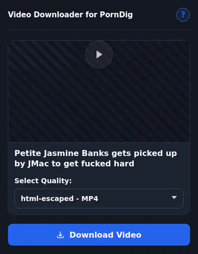 PornDig Downloader fullscreen screenshot
