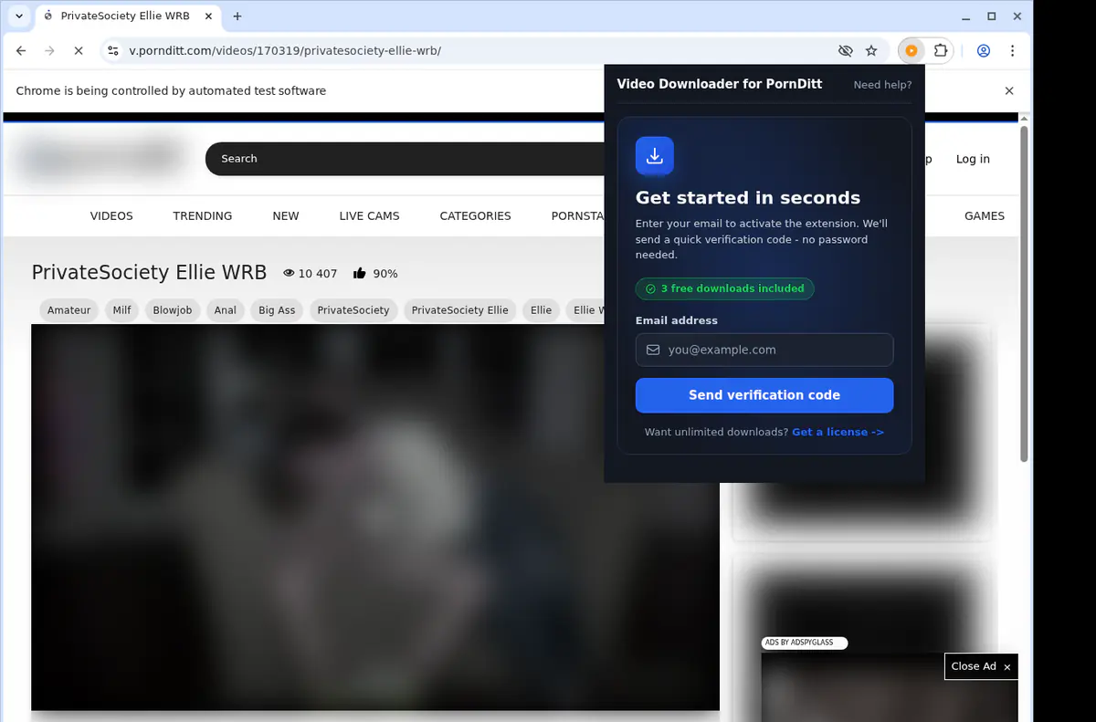 PornDitt Downloader fullscreen screenshot
