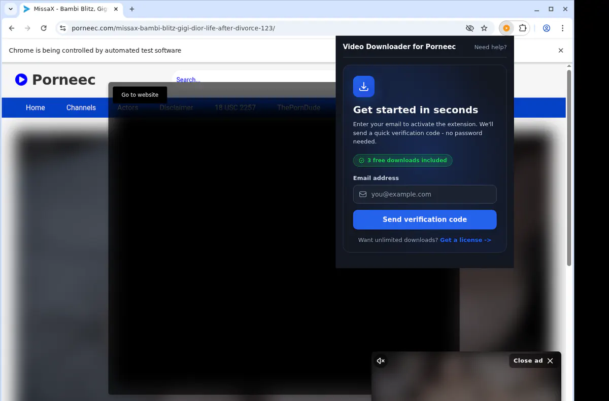 Porneec Downloader fullscreen screenshot