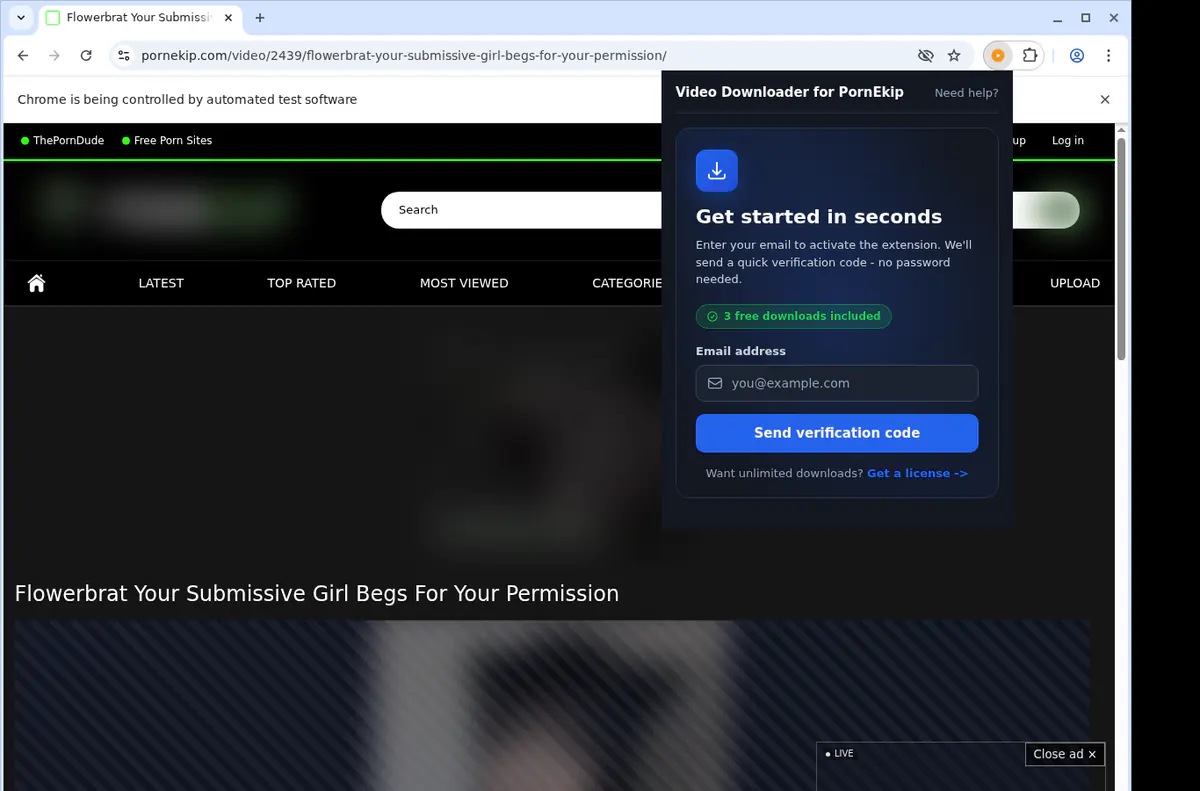 PornEkip Downloader fullscreen screenshot