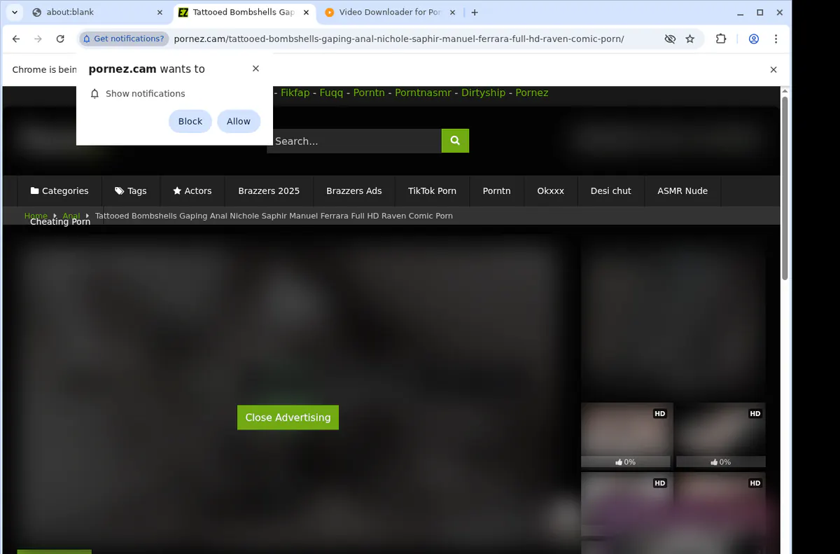 PornEZ.cam Downloader fullscreen screenshot