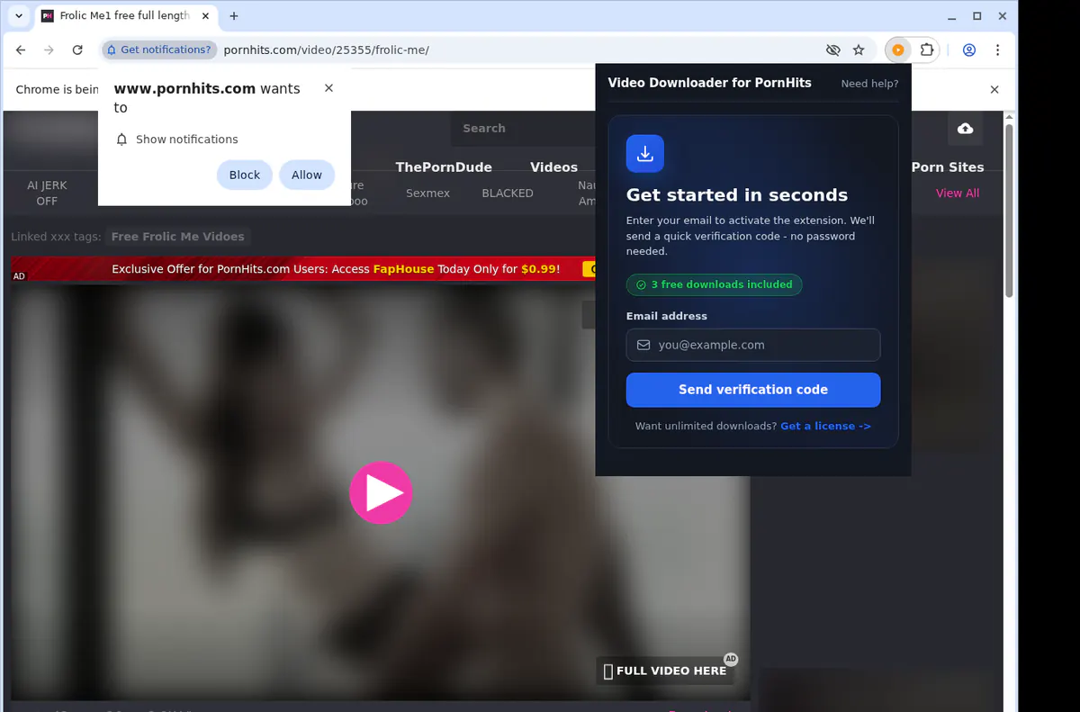 PornHits Downloader fullscreen screenshot