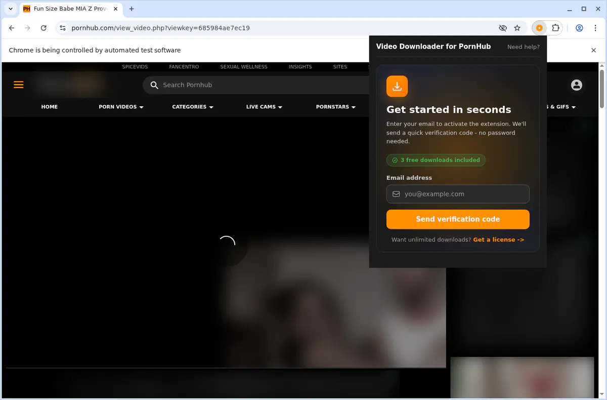 Pornhub Video Downloader fullscreen screenshot