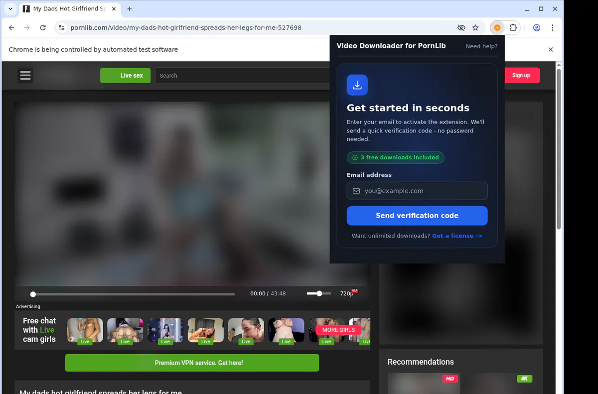 PornLib Downloader fullscreen screenshot